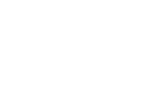 Directie draagt de eindverantwoordelijkheid voor de activiteiten die ECH ontwikkelt. Dit betreft naast de operationel...