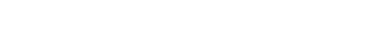 Directietaken Financi n