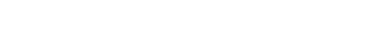 Directietaken IT
