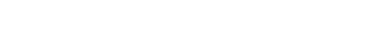 Directietaken Advisering