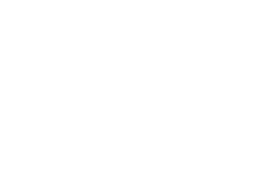 De uitvoerend specialist audit is verantwoordelijk voor het mogelijk maken van, en het uitvoeren van onafhankelijke a...