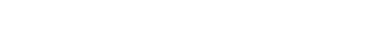 Auditor PED