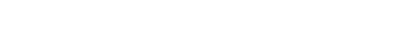 Lead Auditor PED