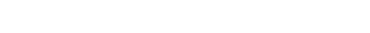 Lead Auditor F gassen