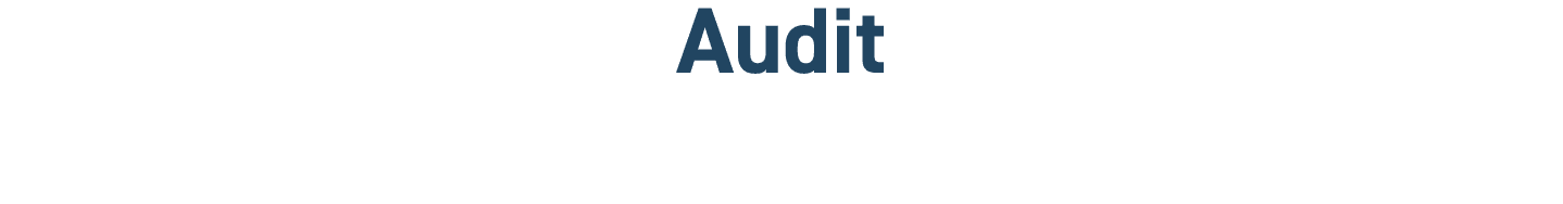 Audit