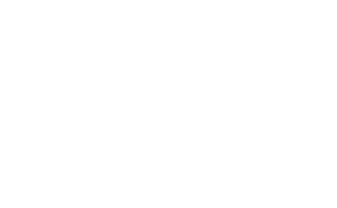 De uitvoerend specialist advies is verantwoordelijk voor het leveren van beleidsmatige , organisatorische en technisc...
