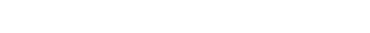 Veiligheidsco rdinator