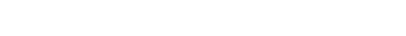Vakteamleider Cursus