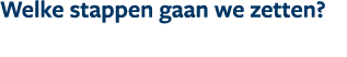 Welke stappen gaan we zetten?