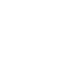 Spin medisch domein/ welzijn