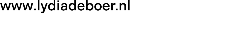 www.lydiadeboer.nl