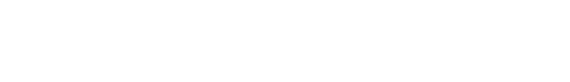 www.lydiadeboer.nl