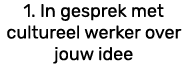 1. In gesprek met cultureel werker over jouw idee